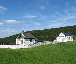 Goutez la nature de l'Ardenne belge