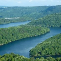 Au coeur du Parc National de l'Eifel