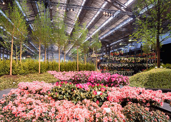 Floralies Gantoises