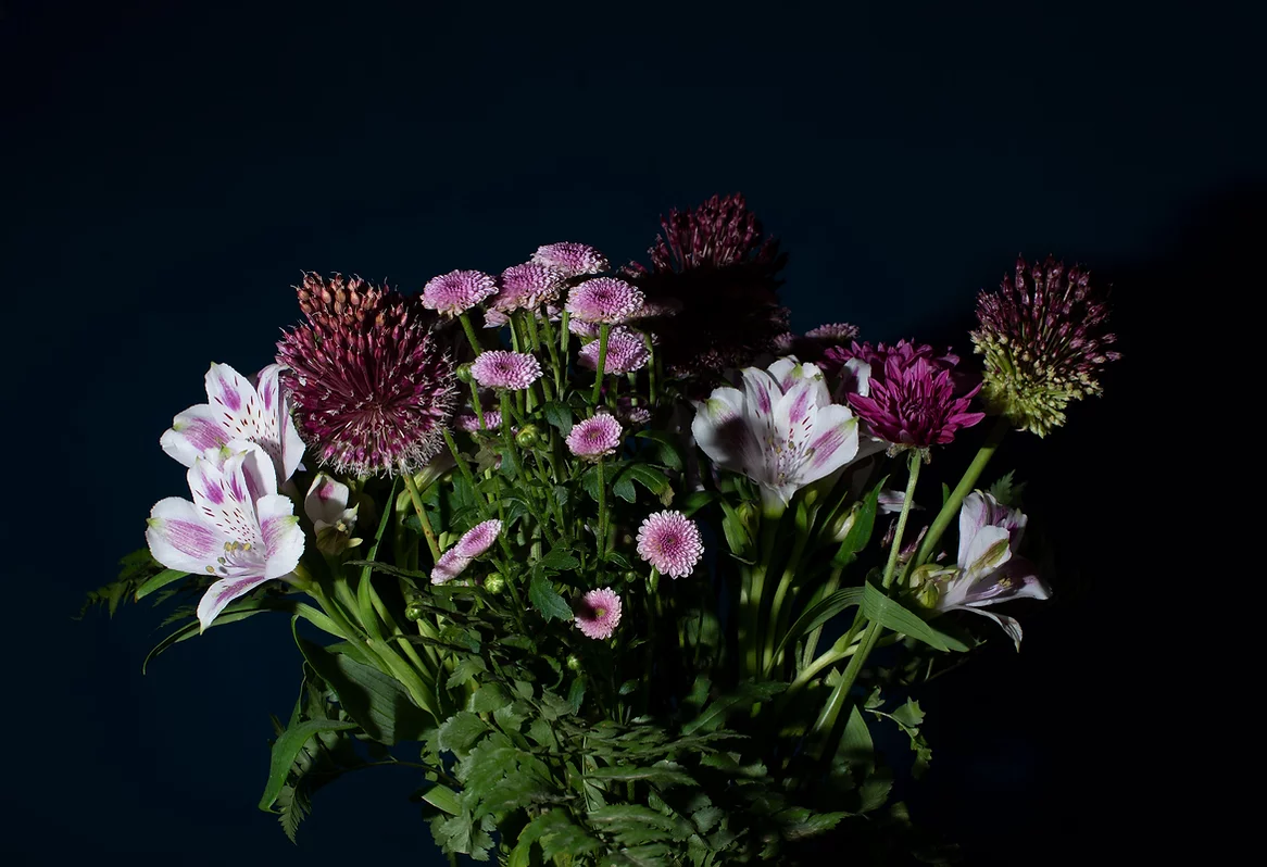 Floralies Gantoises