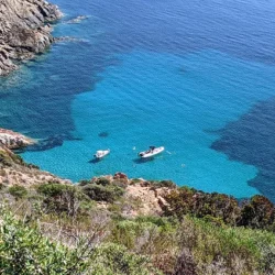 Corse