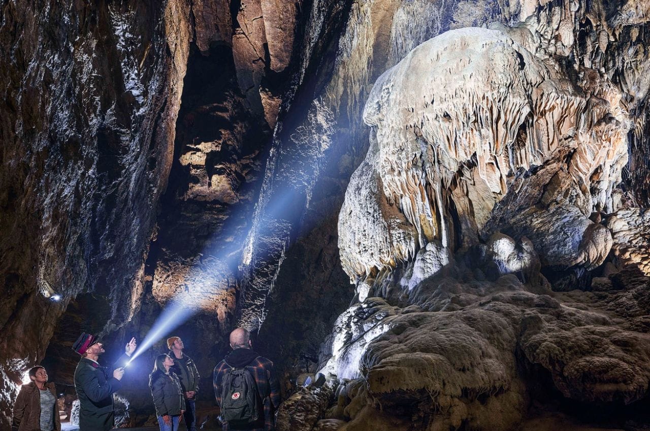 Safari et Grottes de Han